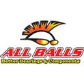   All Balls 45-2024