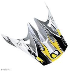 Msr® 2006 visors